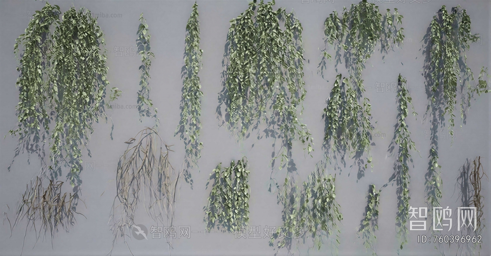Modern Vine