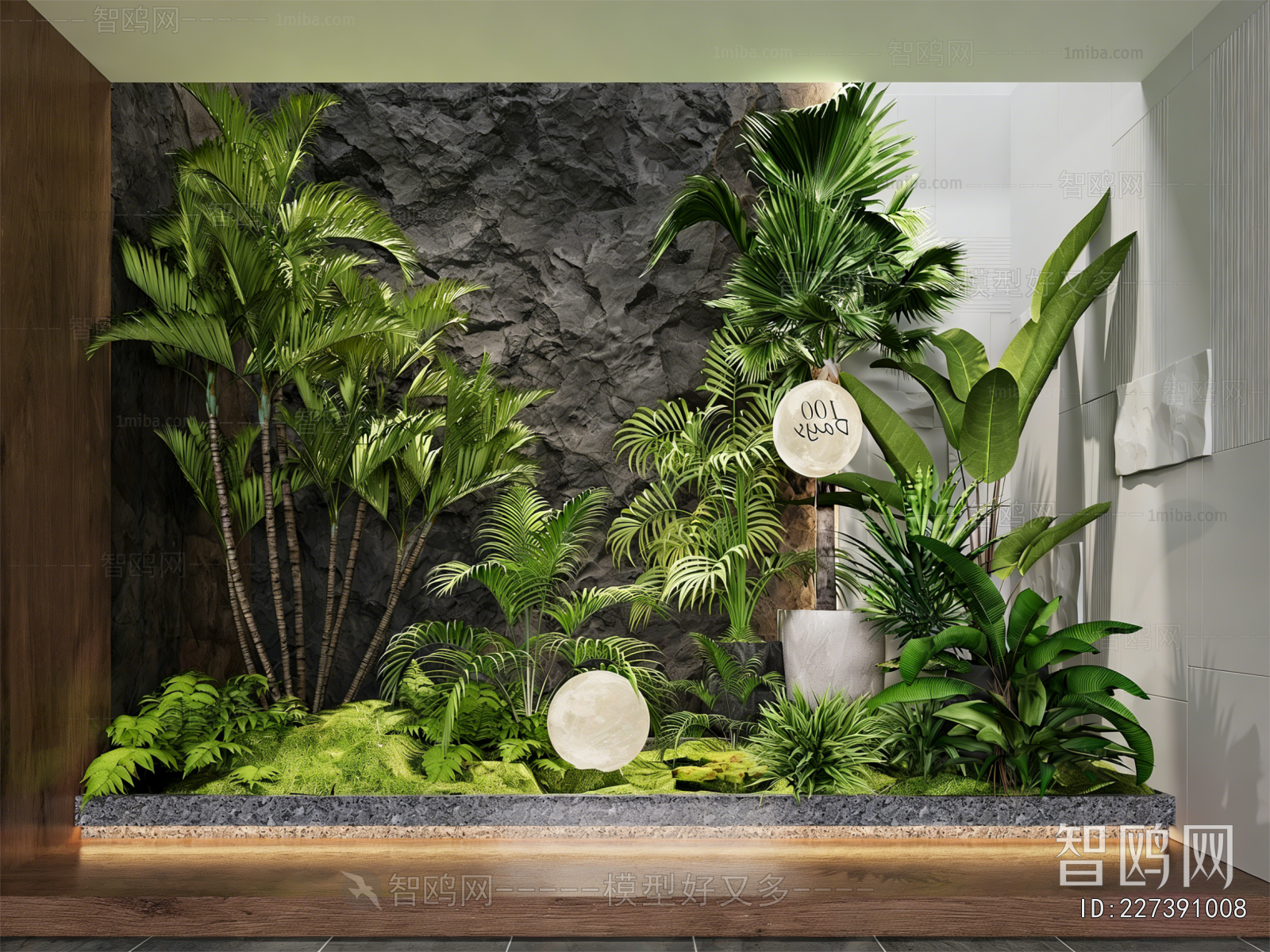 Modern Plant Landscaping