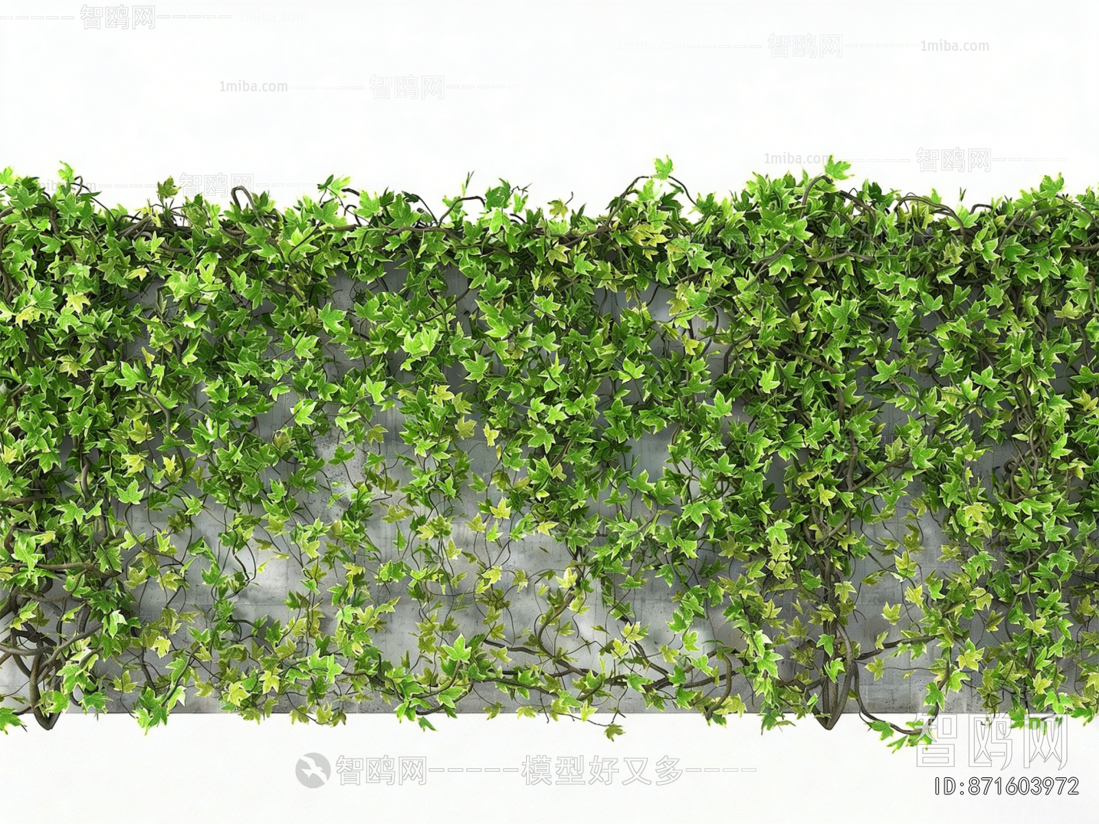 Modern Vine