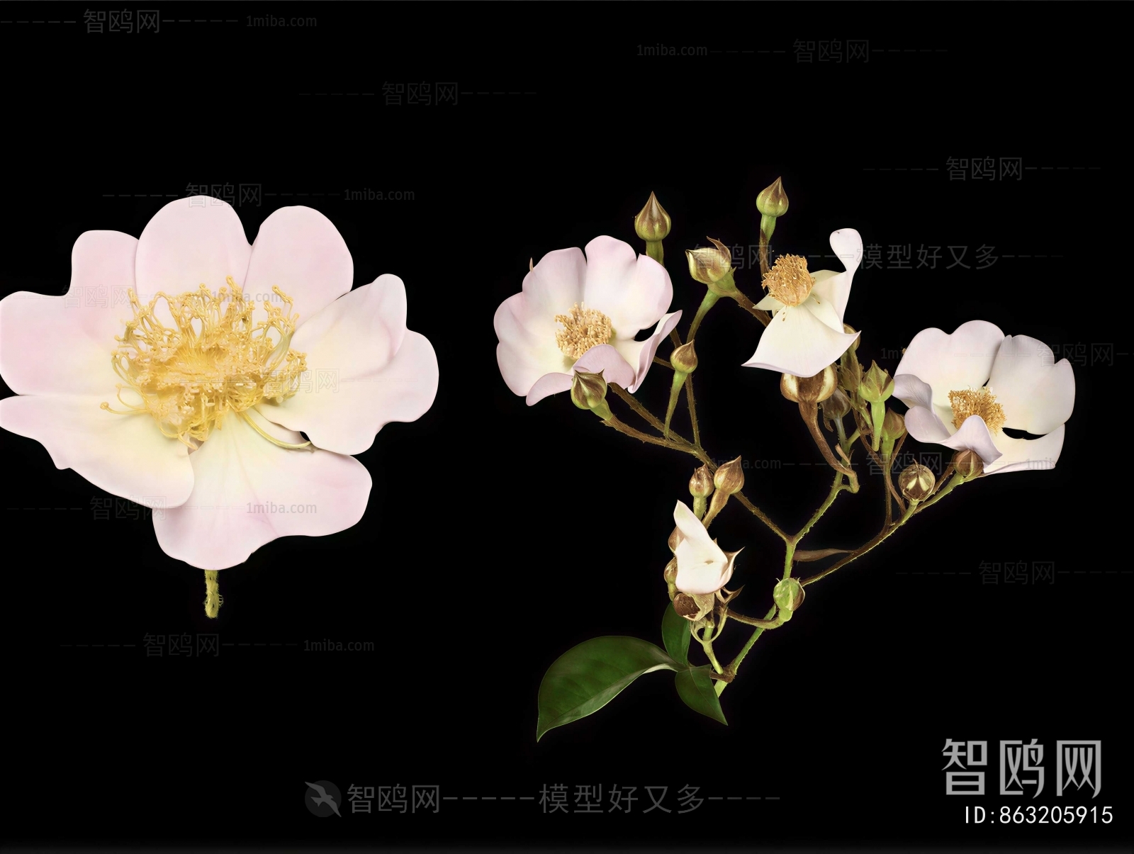 Modern Flowers And Grass