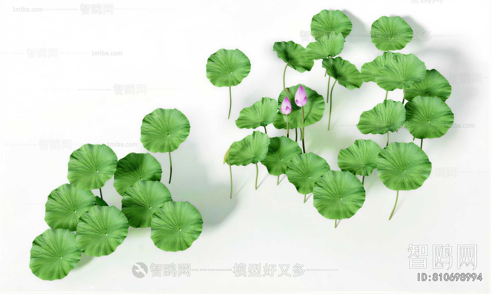 Modern Flowers And Grass