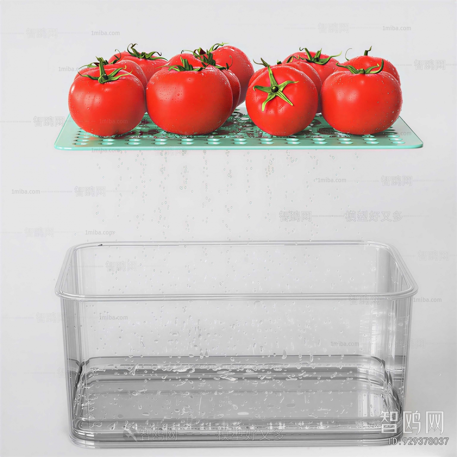 Modern Vegetables