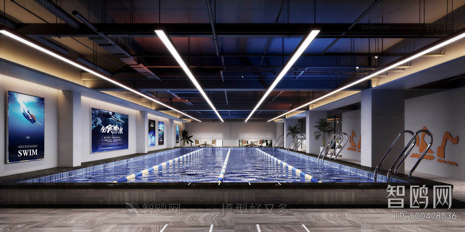 Modern Swimming Pool