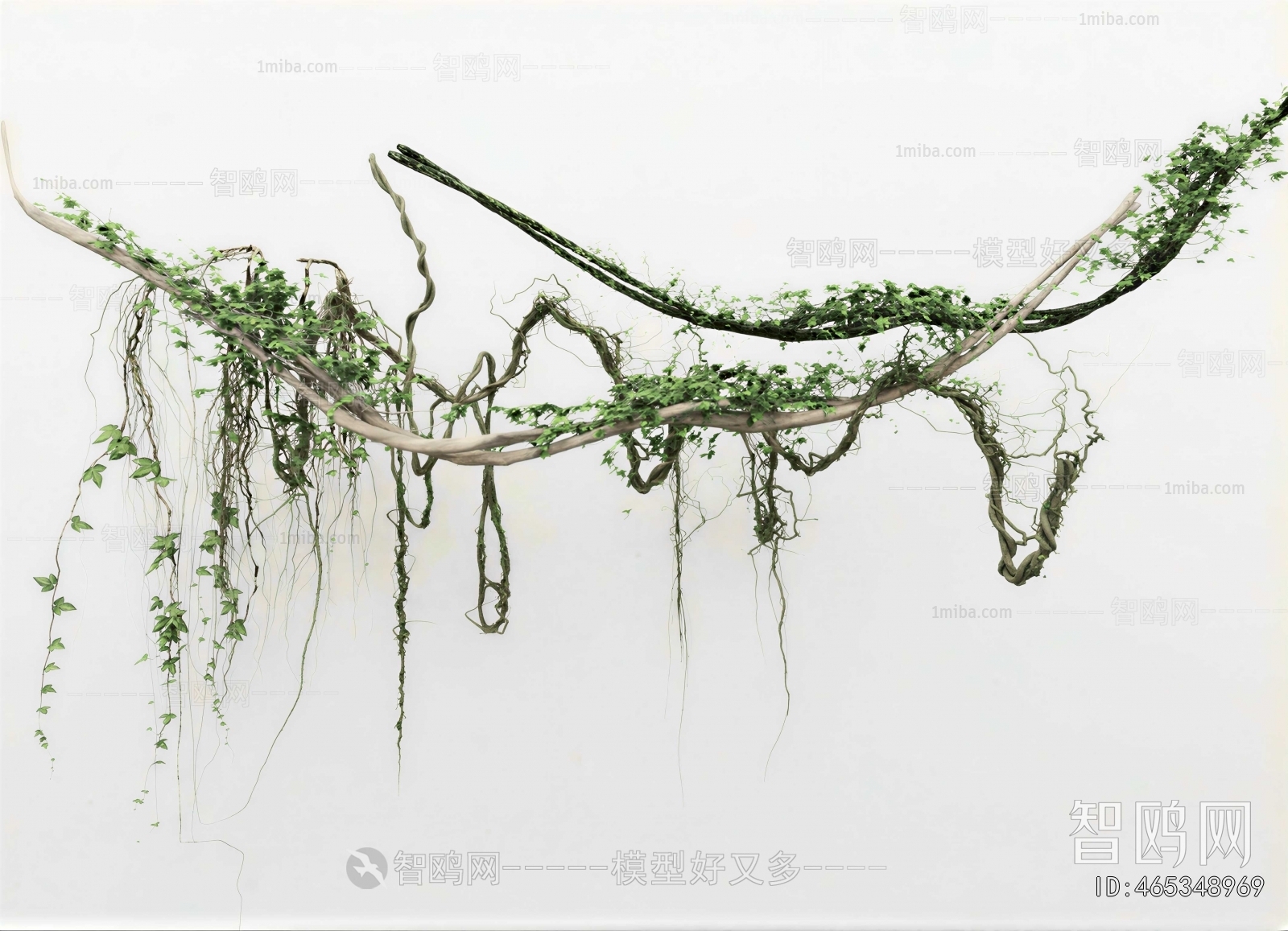 Modern Vine