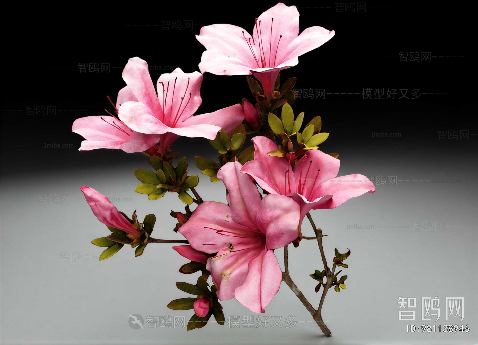 Modern Flowers And Grass