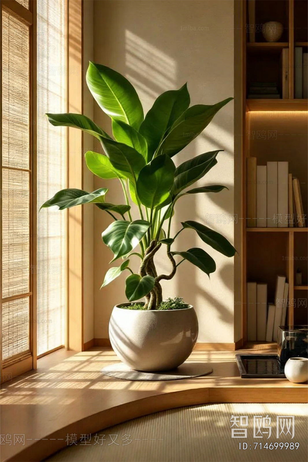 Modern Ground Green Plant Potted Plants
