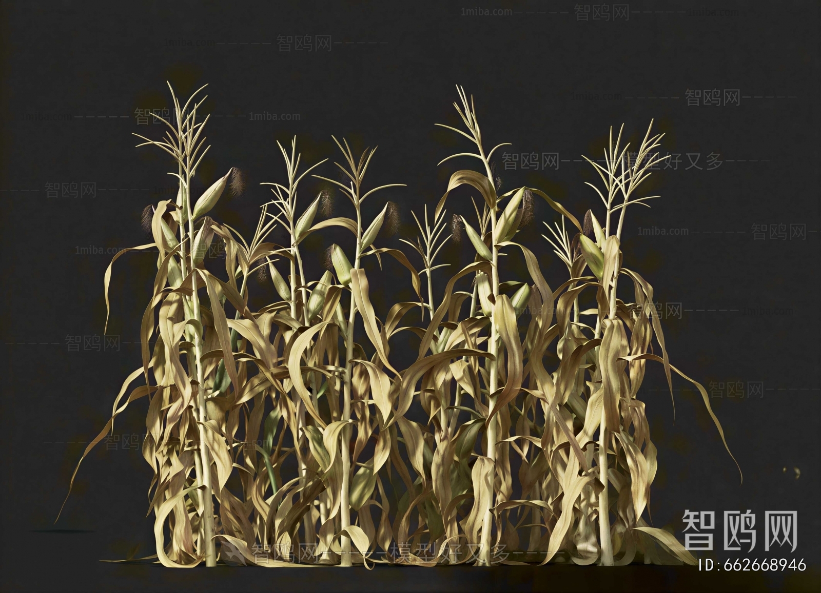 Modern Crop