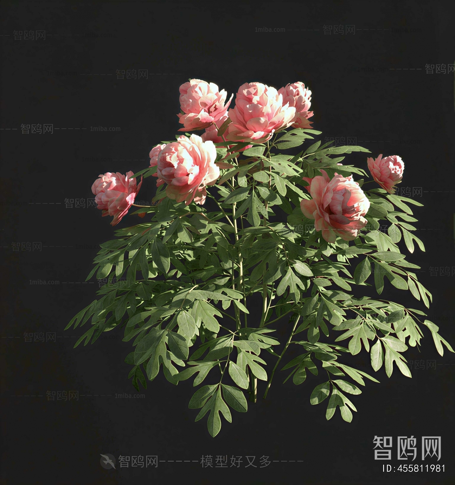 Modern Flowers And Grass