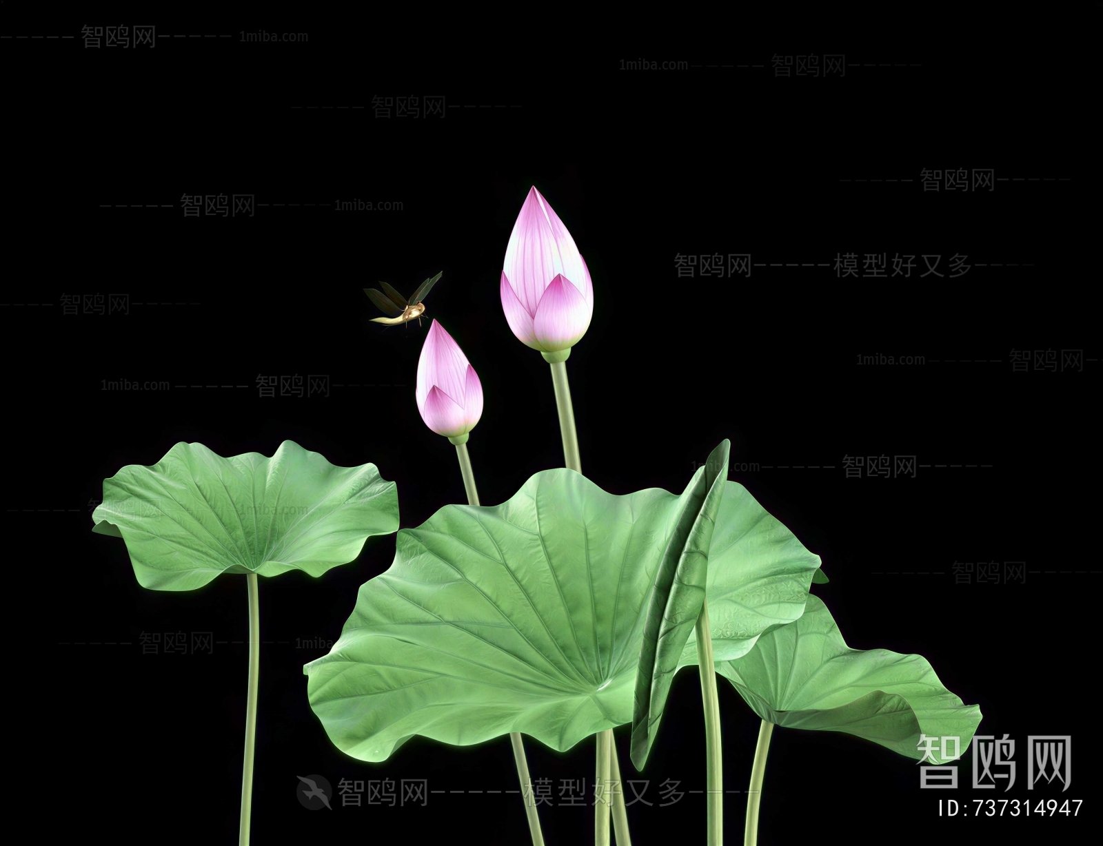 Modern Flowers And Grass