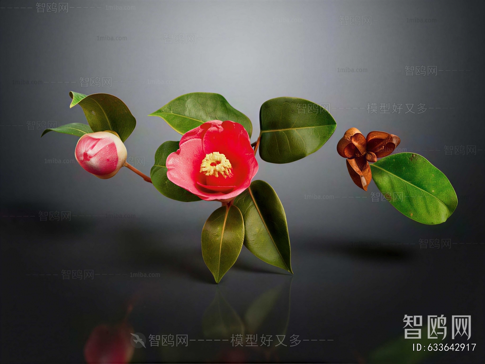 Modern Flowers And Grass