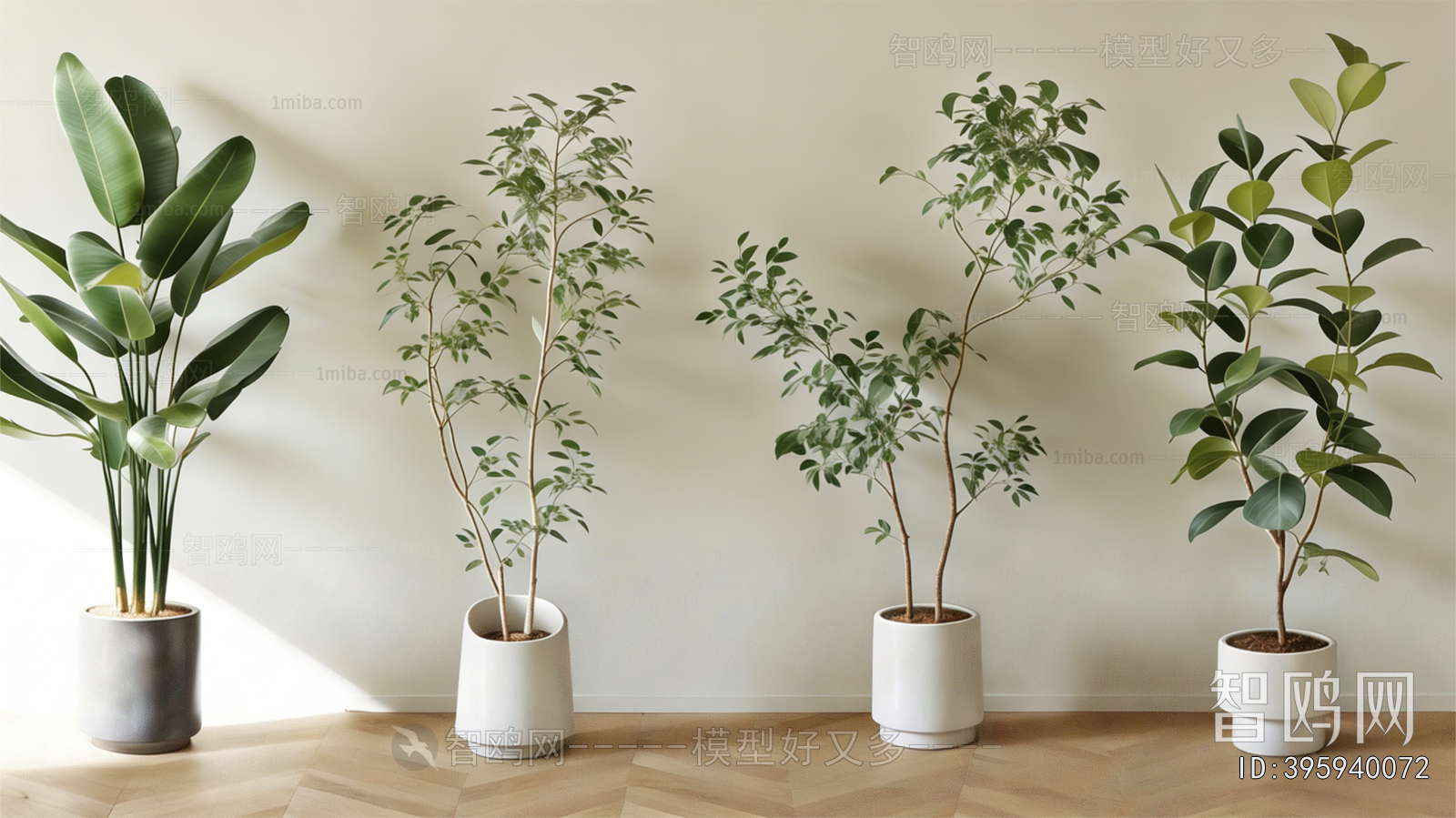 Modern Ground Green Plant Potted Plants