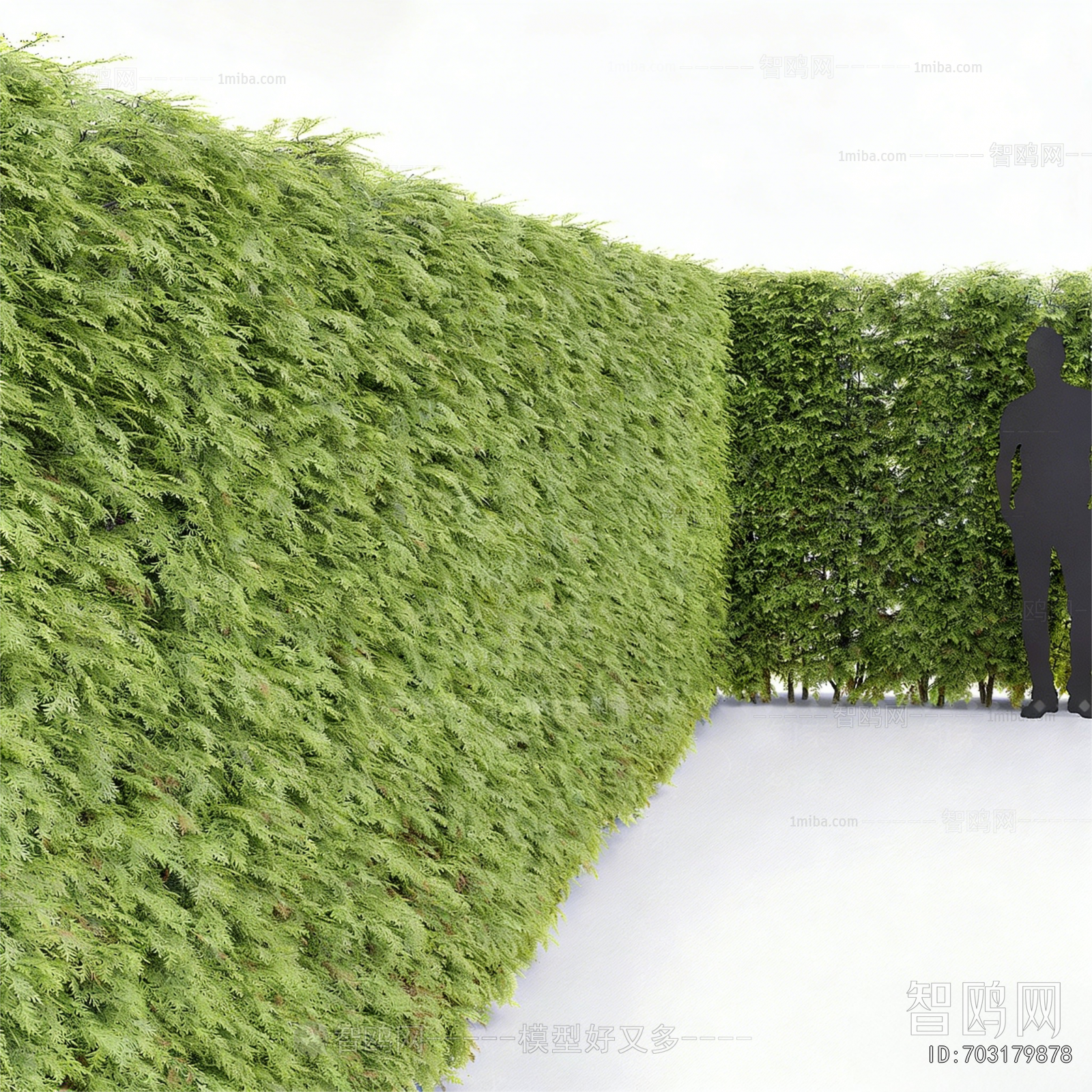 Modern Vine