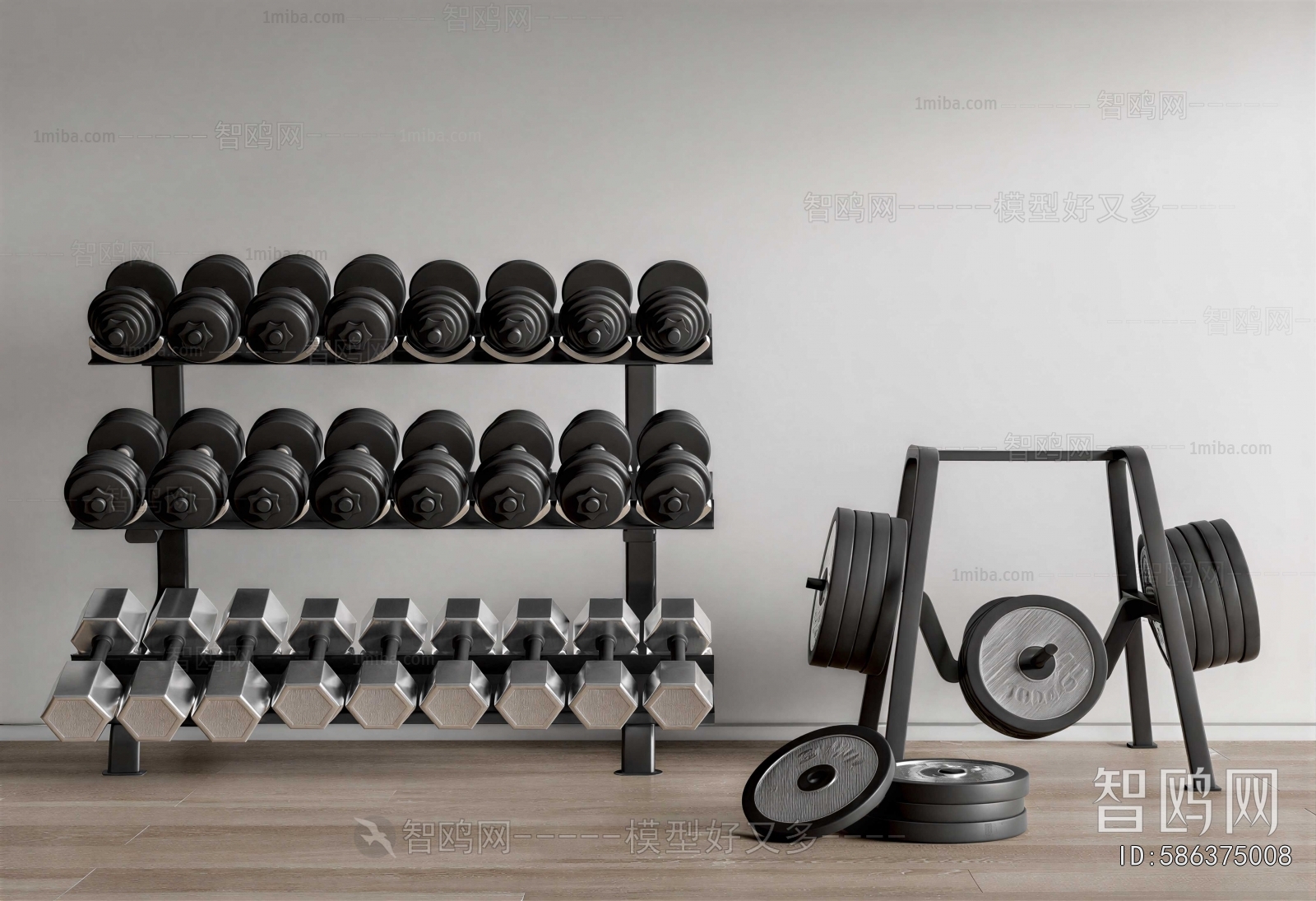 Modern Fitness Equipment