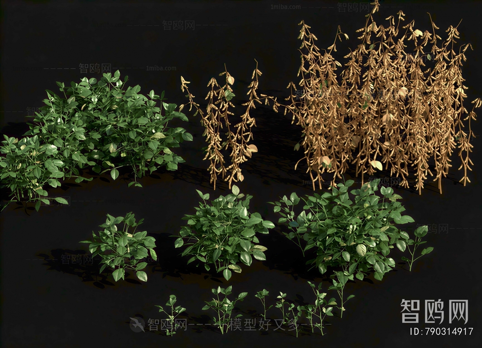 Modern Crop