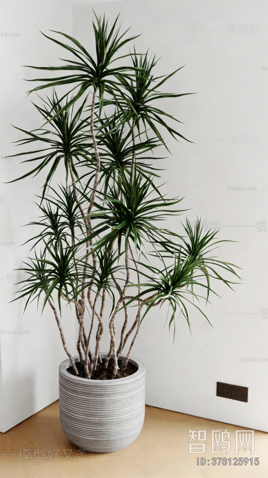 Modern Ground Green Plant Potted Plants