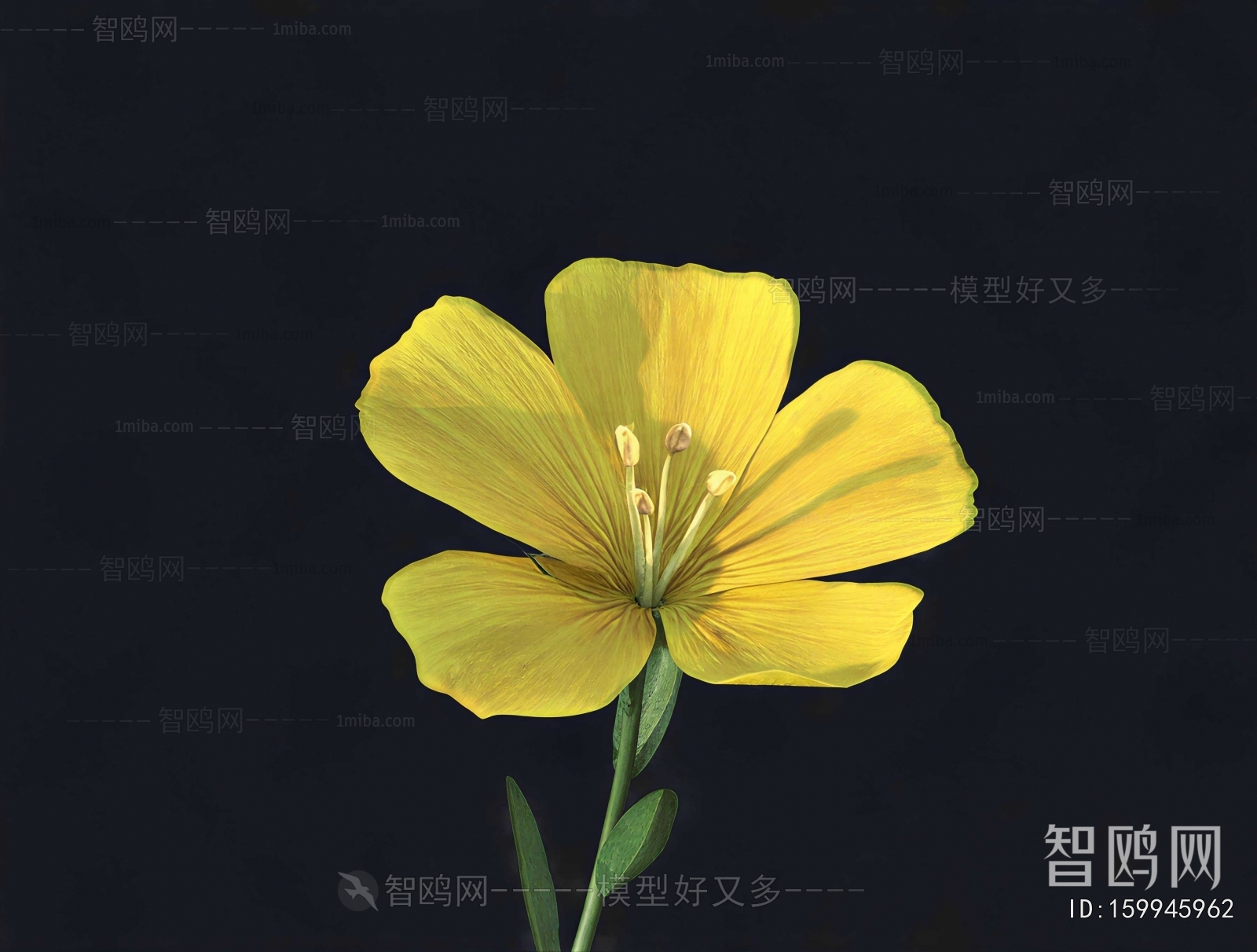 Modern Flowers And Grass