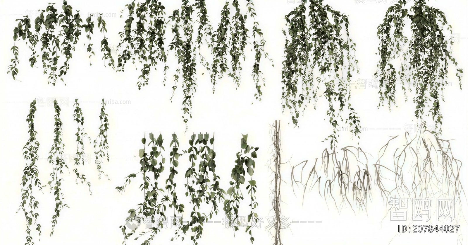 Modern Vine