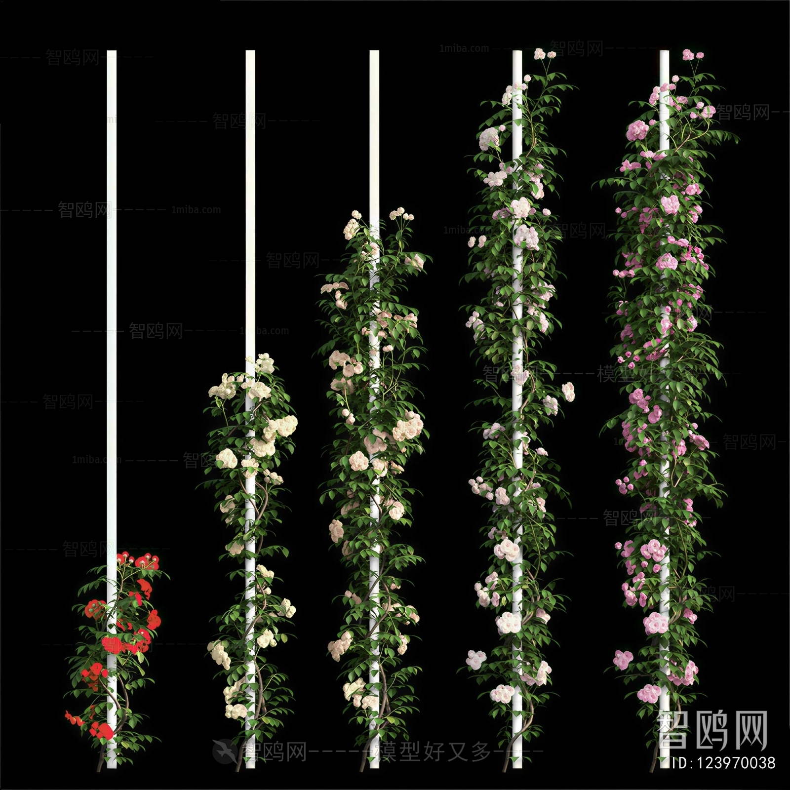 Modern Flowers And Grass