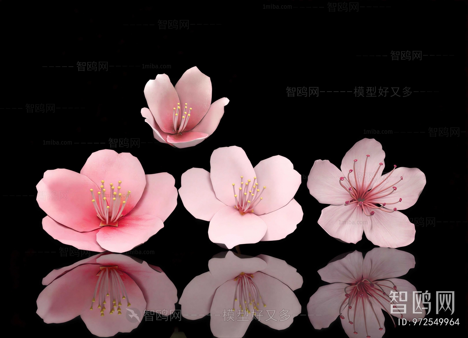 Modern Flowers And Grass
