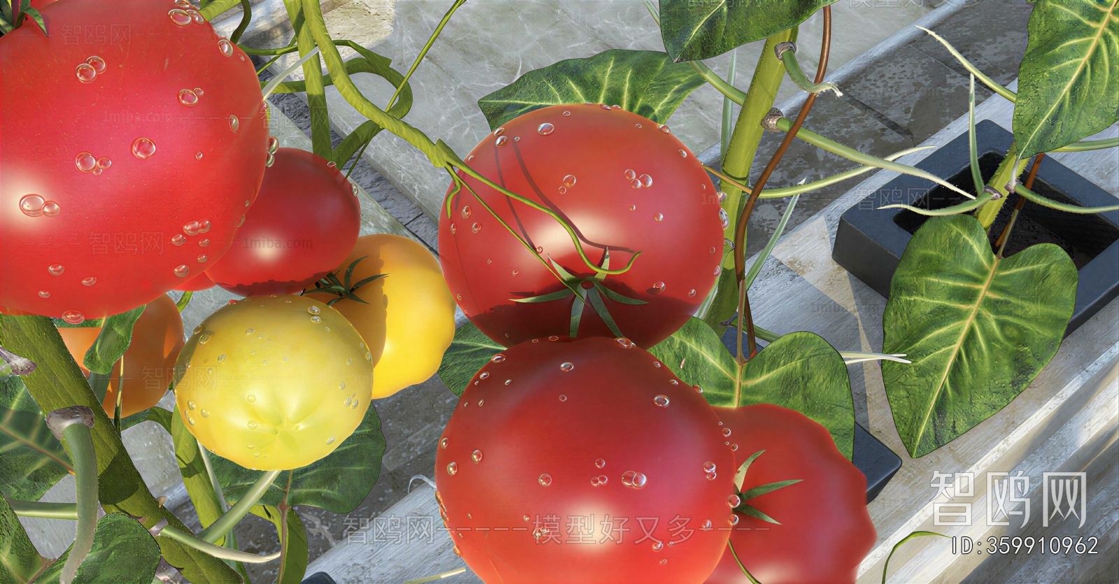 Modern Vegetables