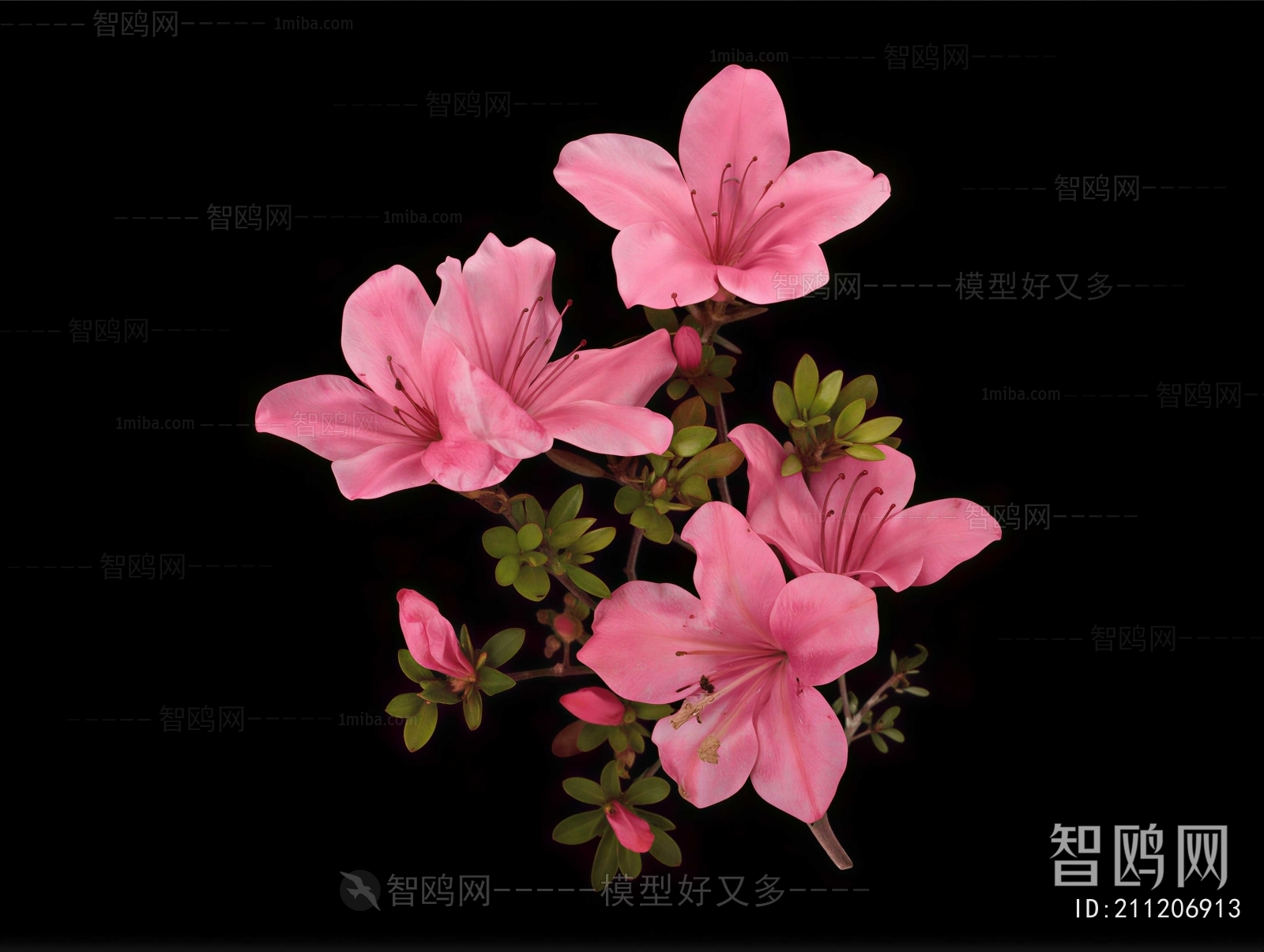Modern Flowers And Grass