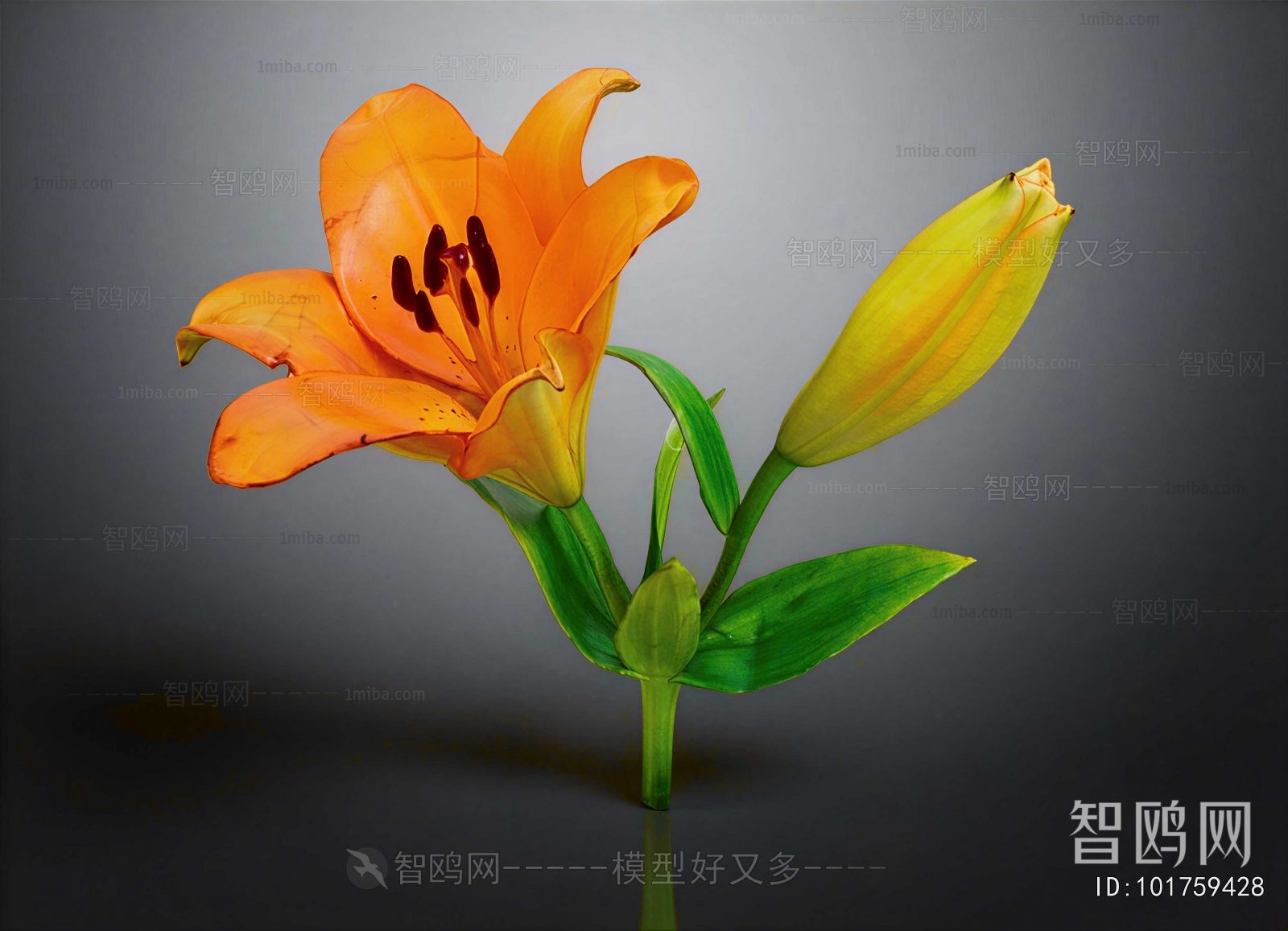 Modern Flowers And Grass