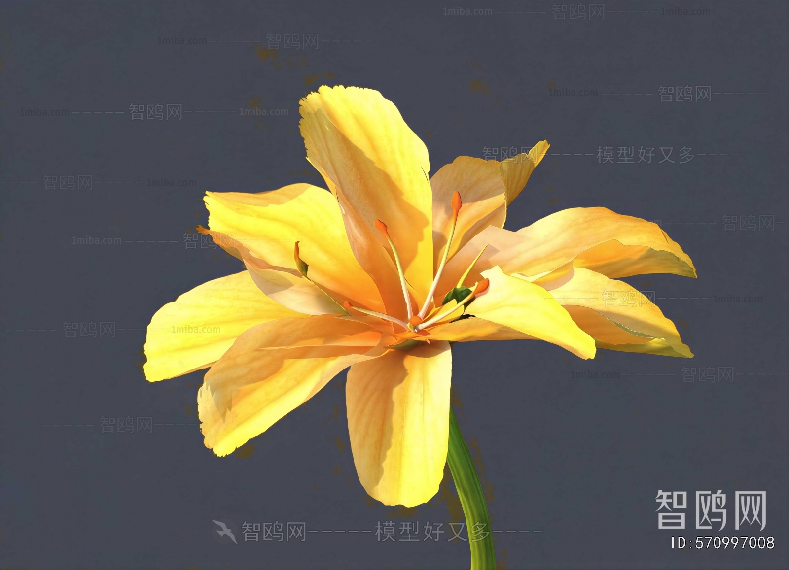 Modern Flowers And Grass