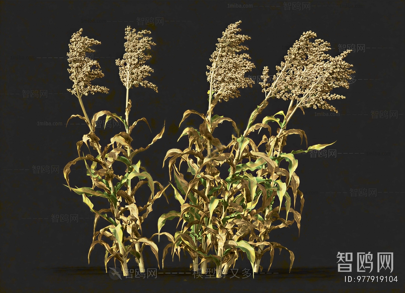 Modern Crop