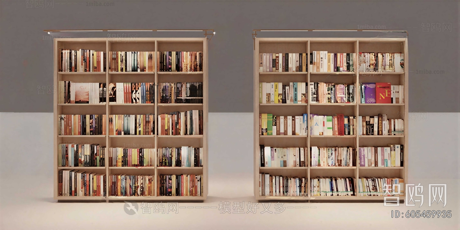 Modern Bookcase