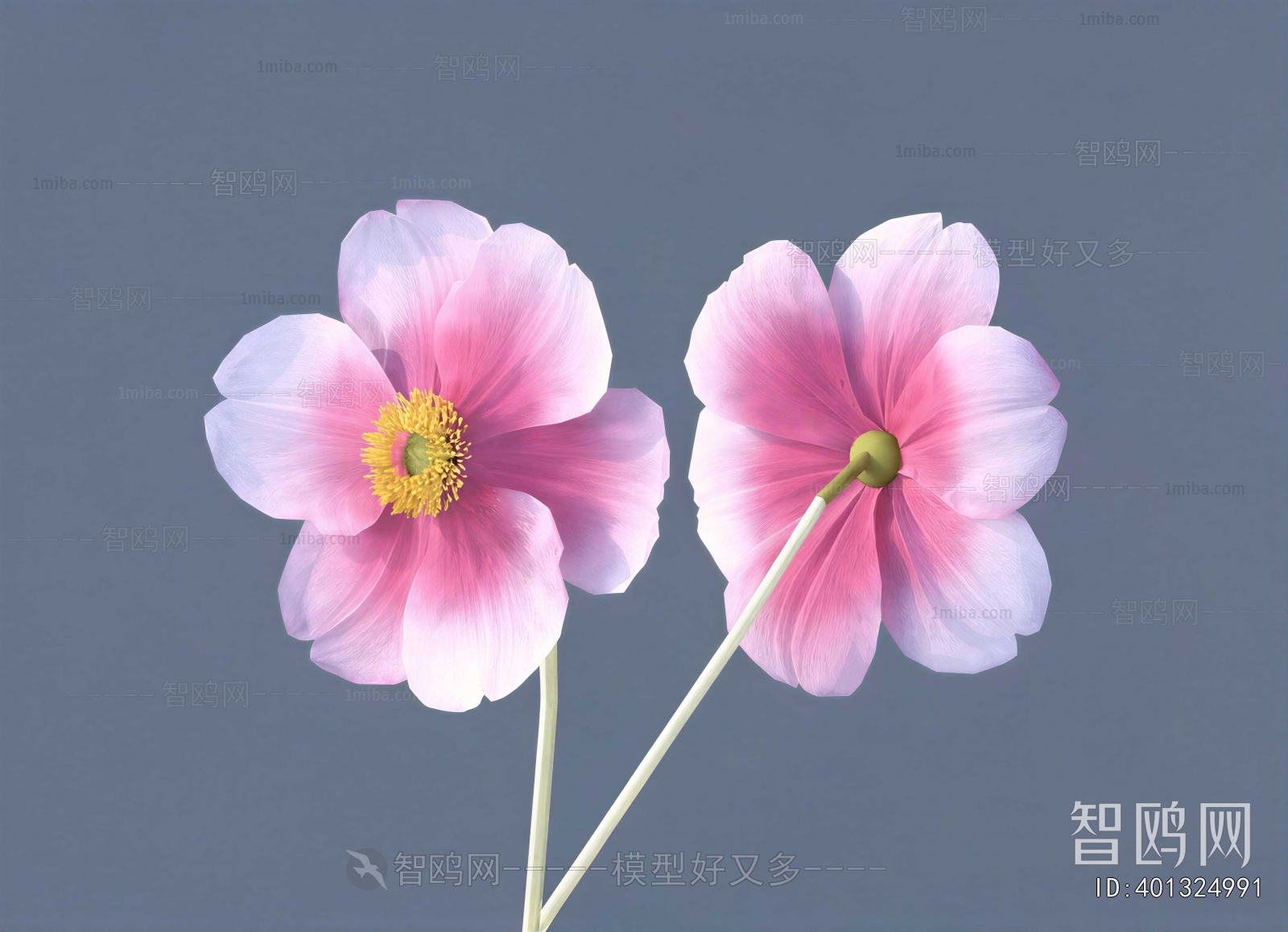Modern Flowers And Grass