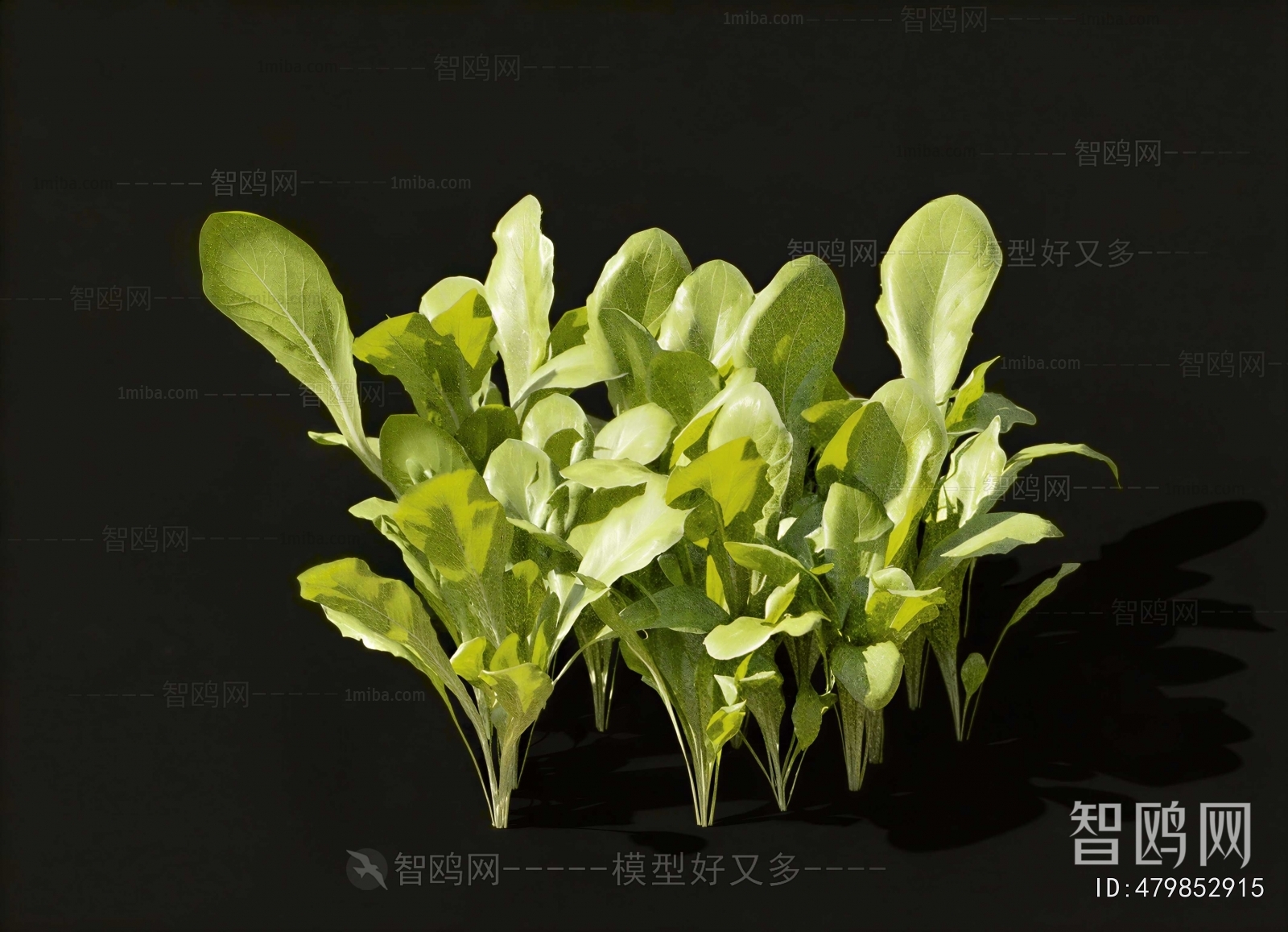 Modern Vegetables