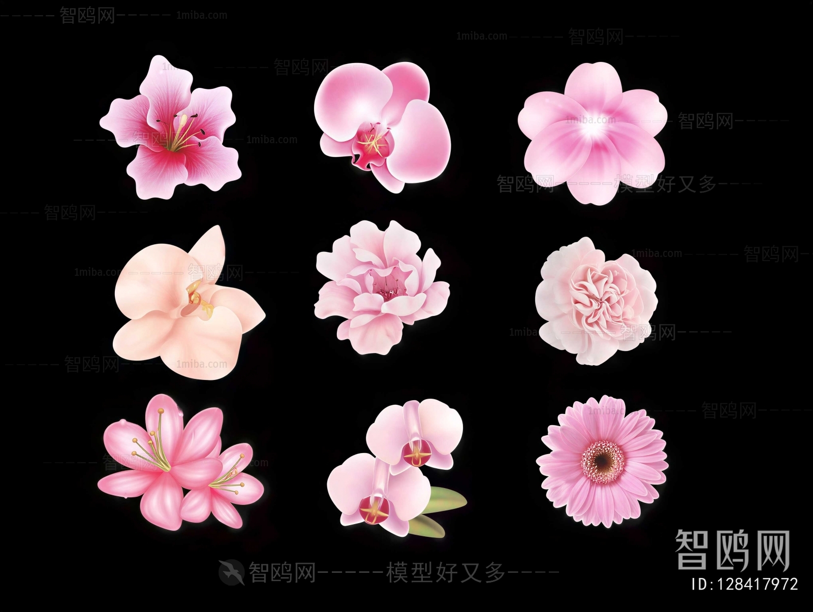 Modern Flowers And Grass