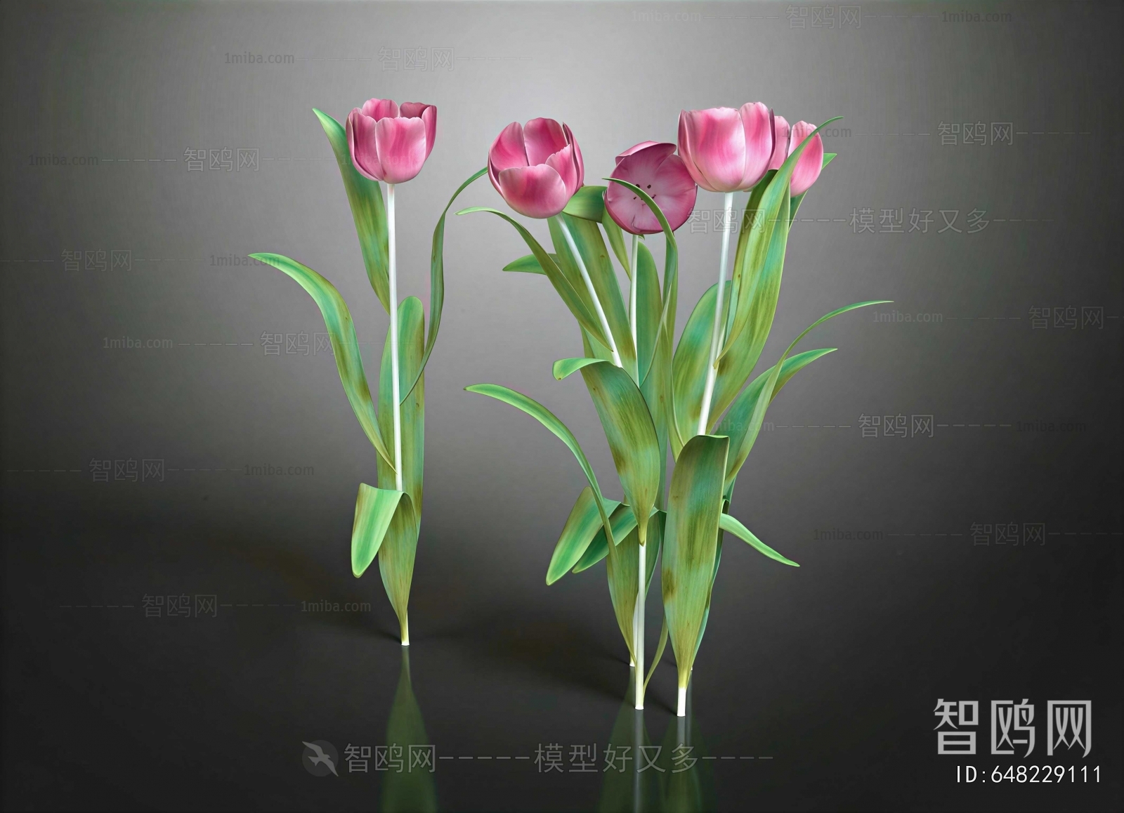 Modern Flowers And Grass