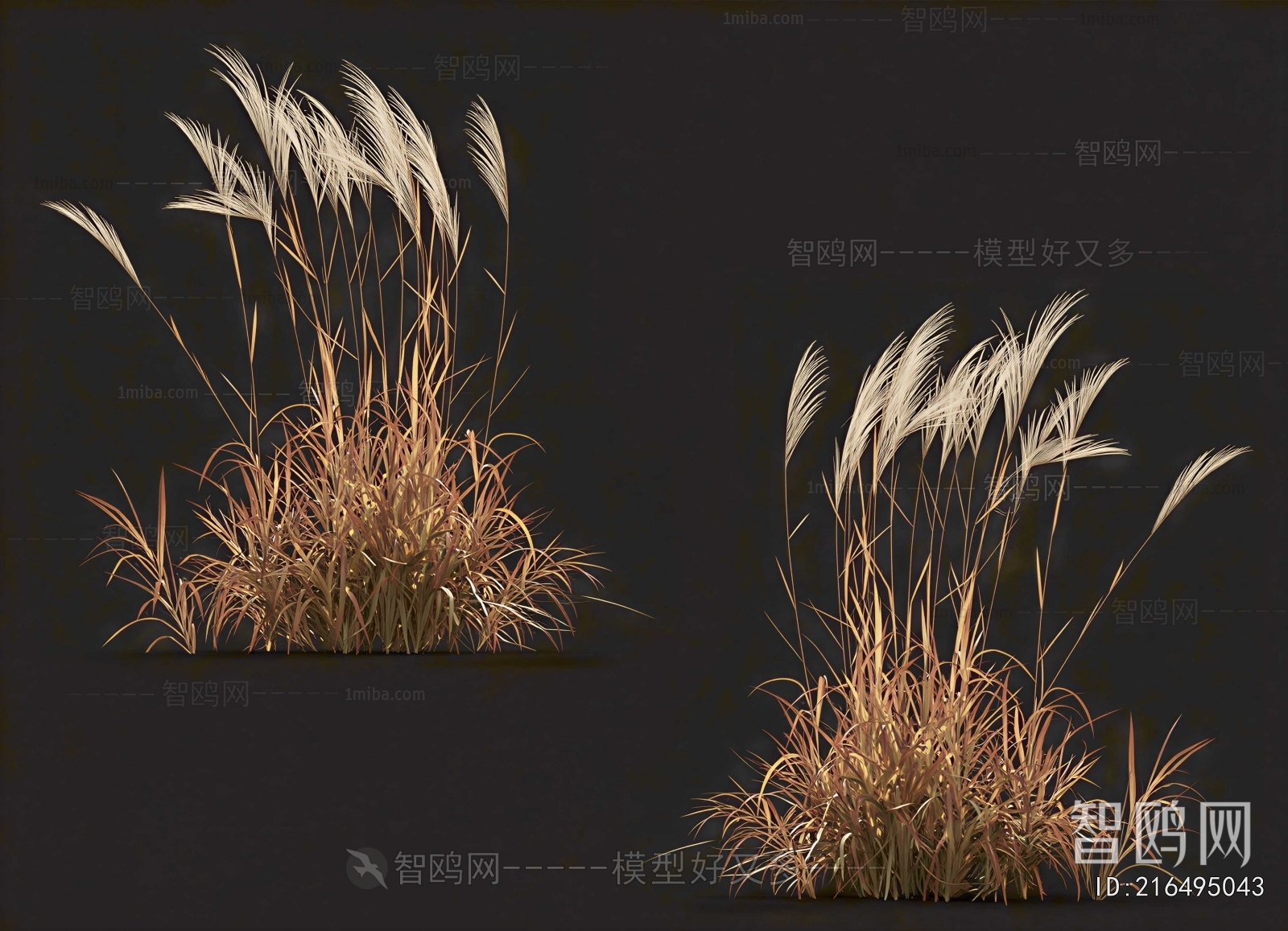 Modern The Grass