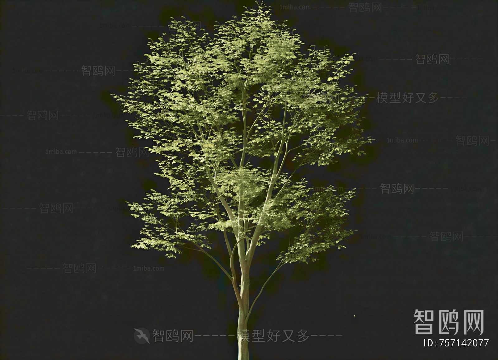 Modern Tree