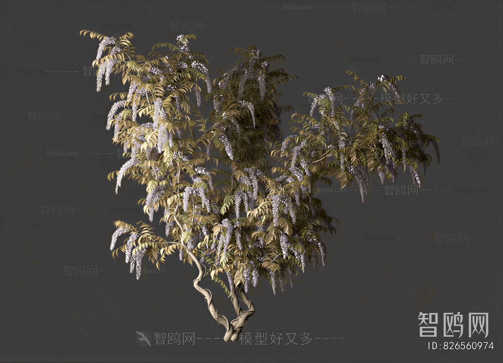 Modern Vine
