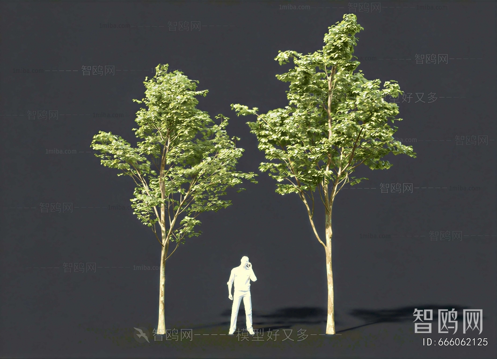 Modern Tree