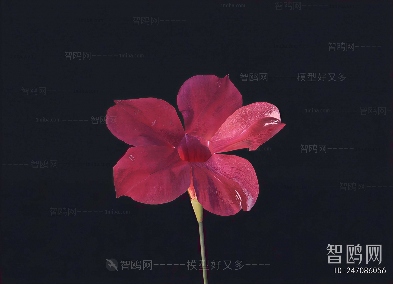 Modern Flowers And Grass