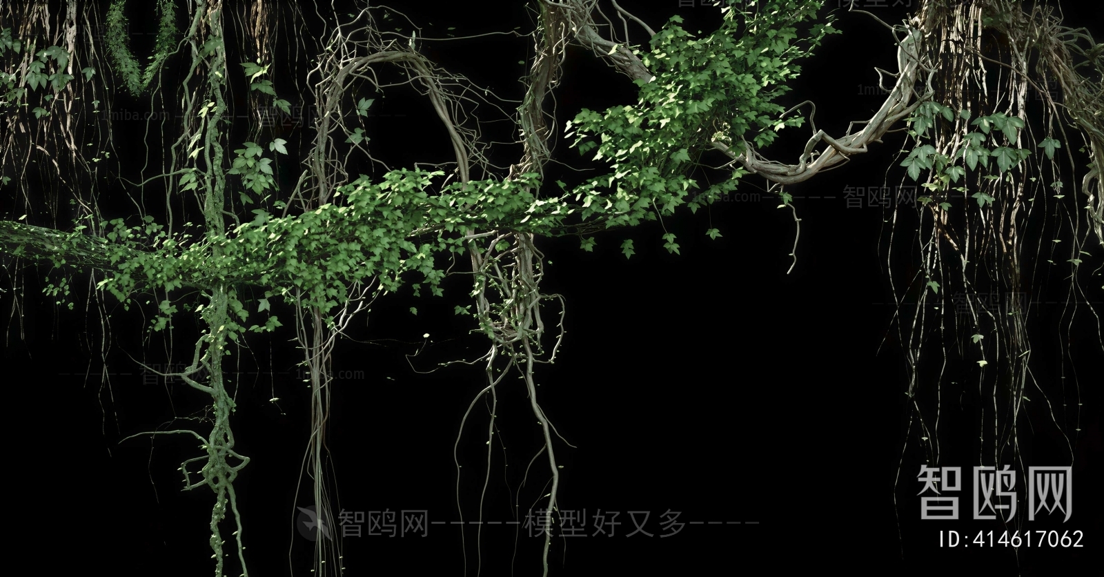 Modern Vine