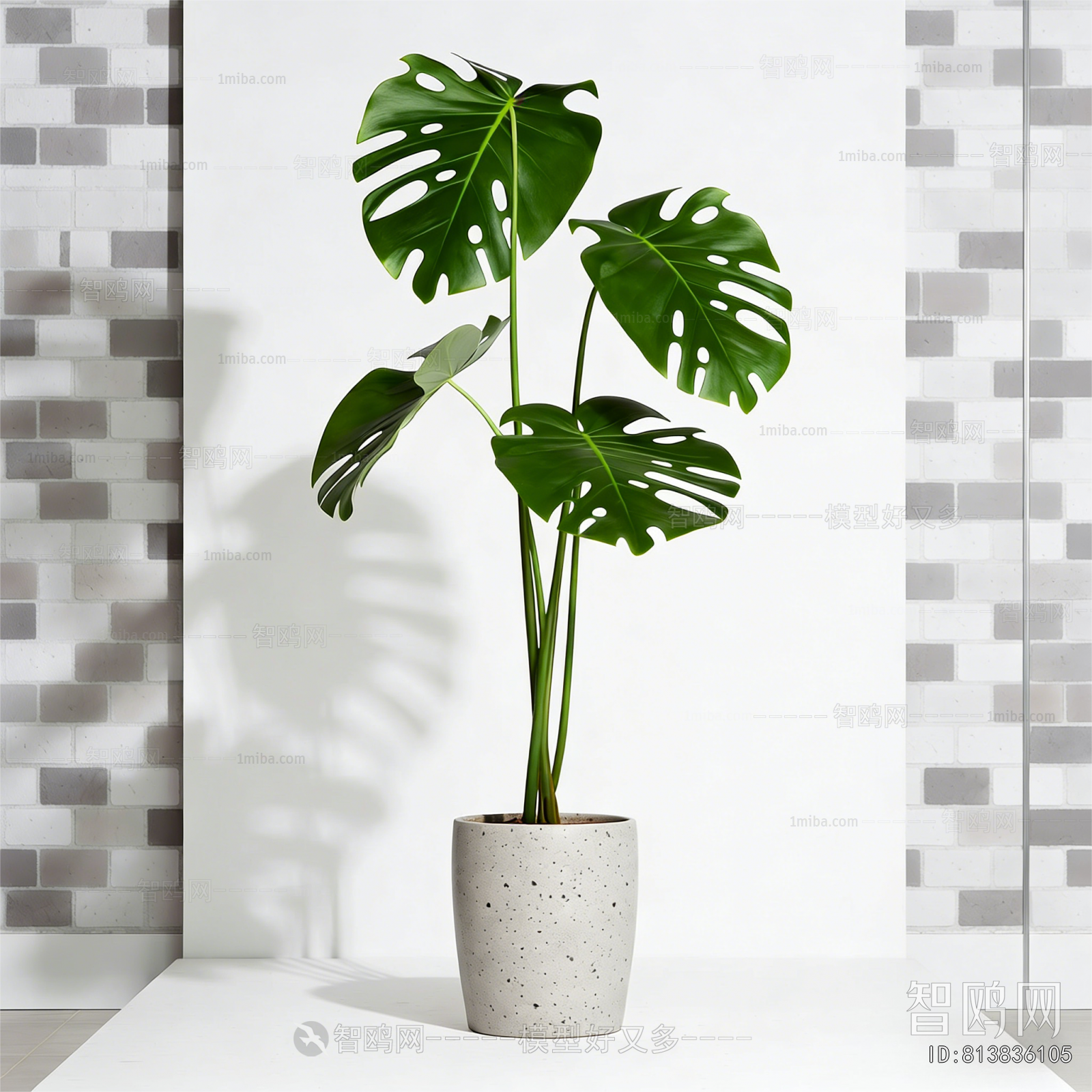 Modern Ground Green Plant Potted Plants