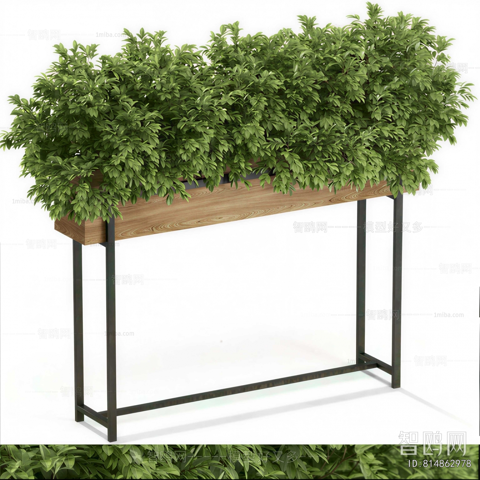 Modern Flower Bed, Flower Bowl, Flower Box
