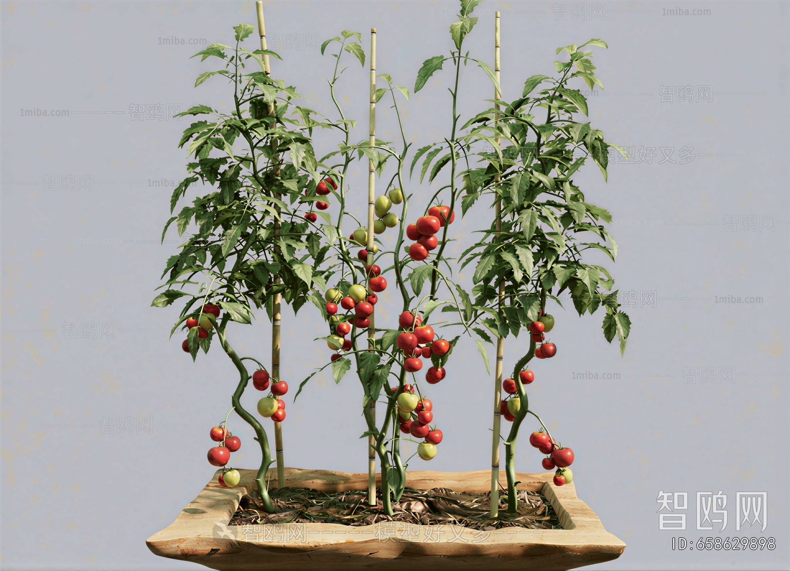 Modern Crop