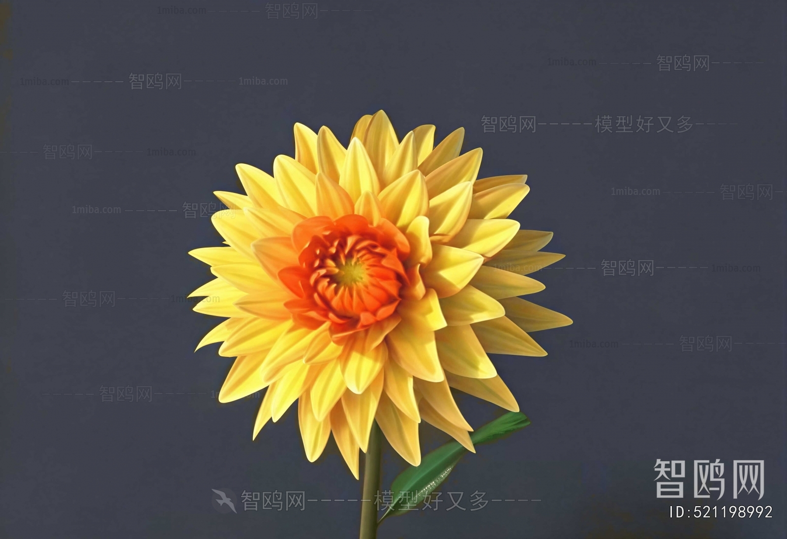 Modern Flowers And Grass