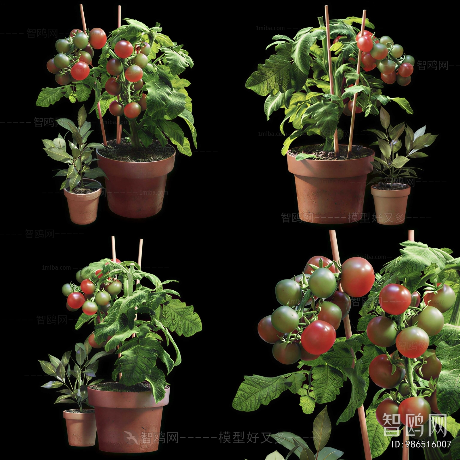 Modern Crop
