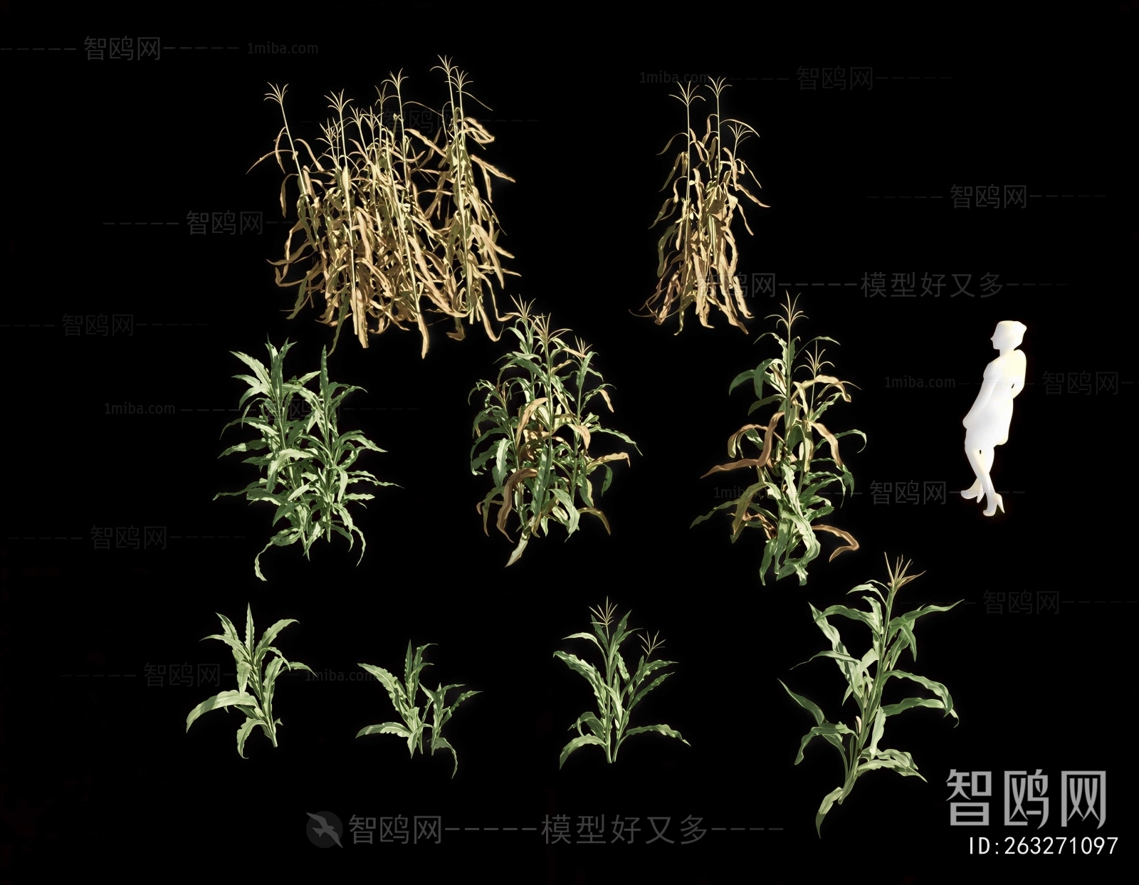 Modern Crop