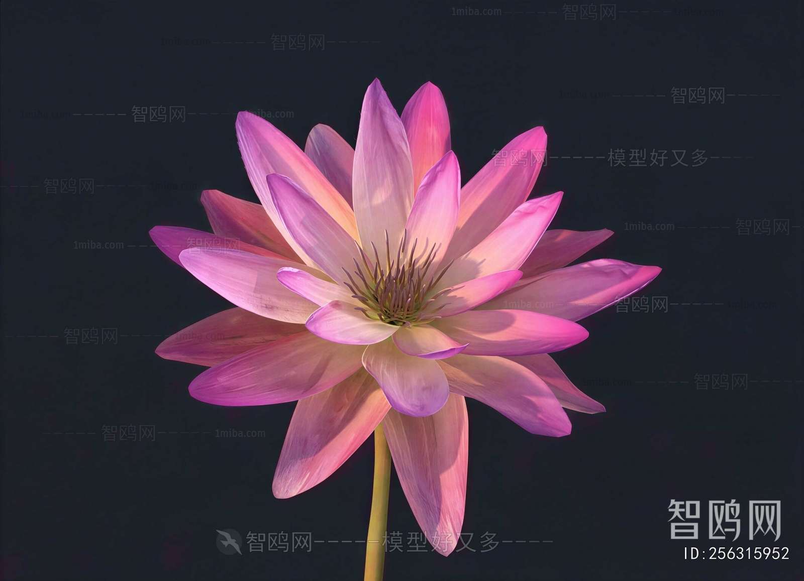 Modern Flowers And Grass
