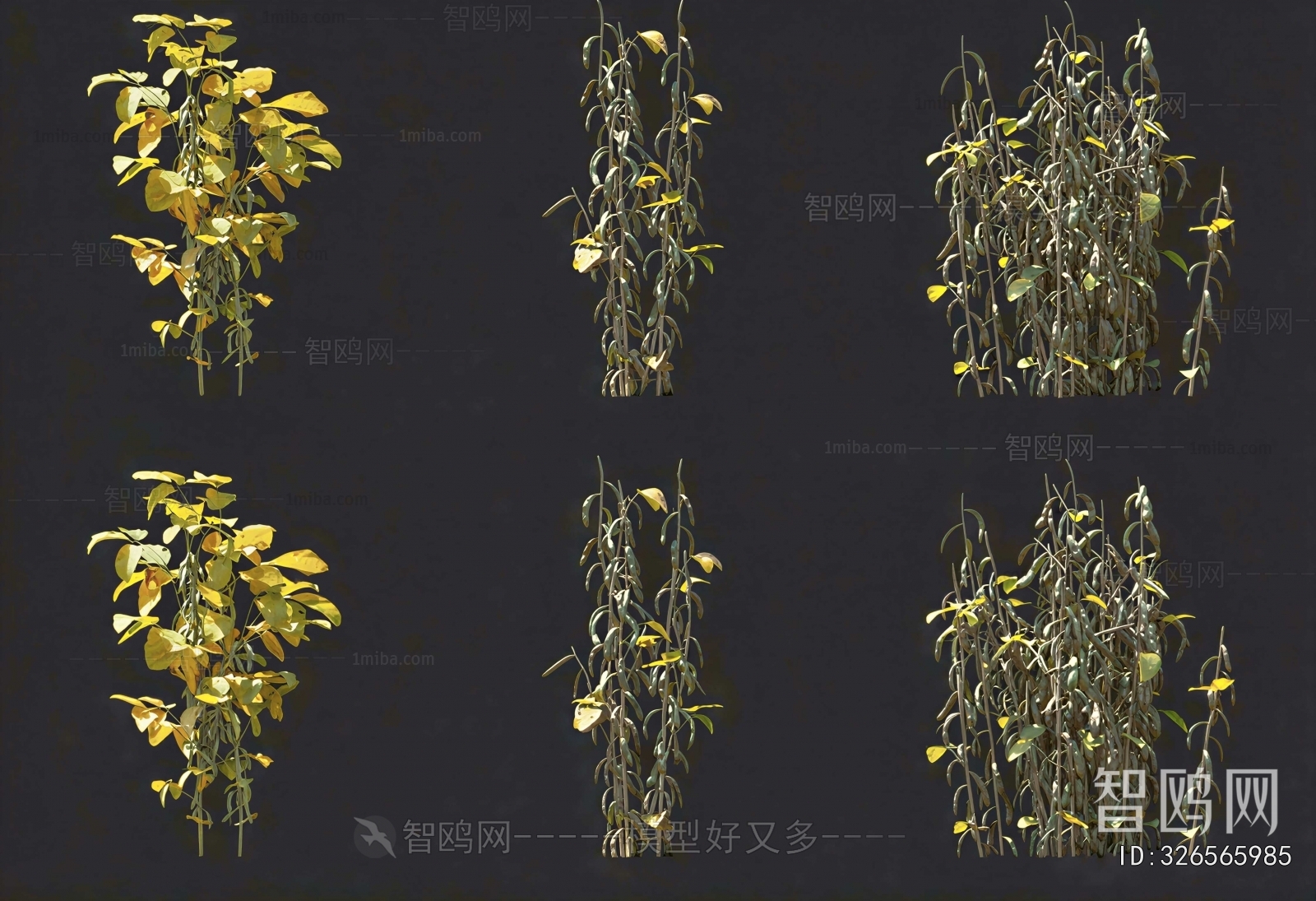 Modern Crop