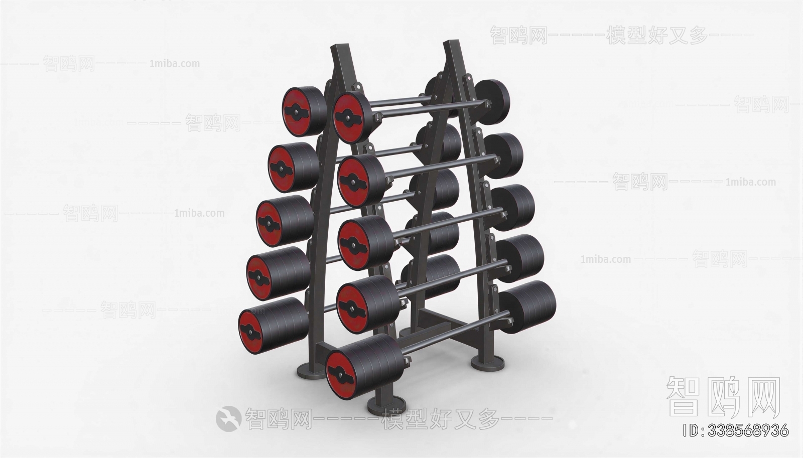 Modern Fitness Equipment