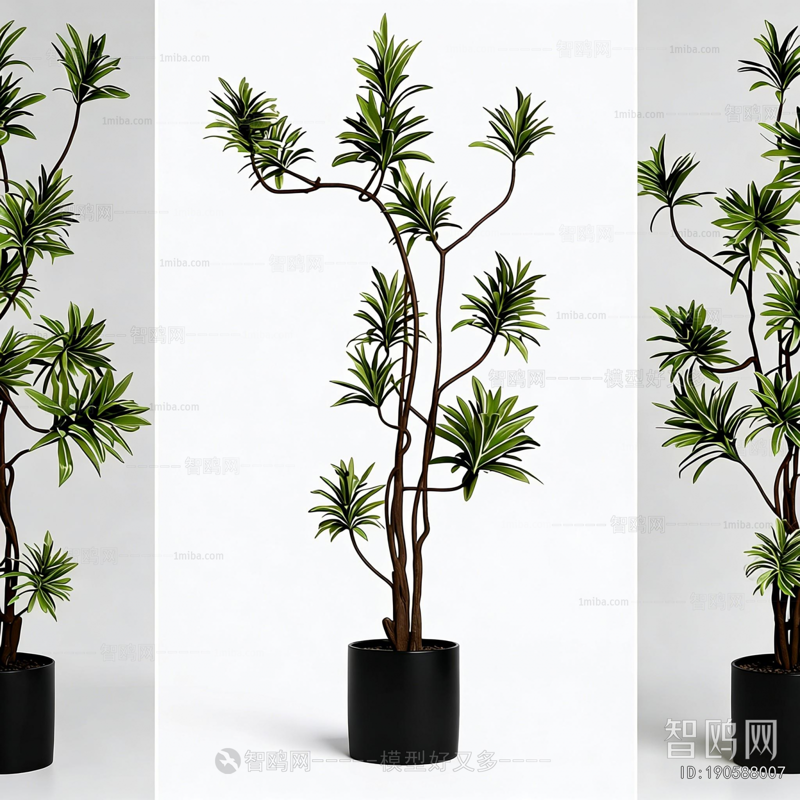 Modern Potted Green Plant