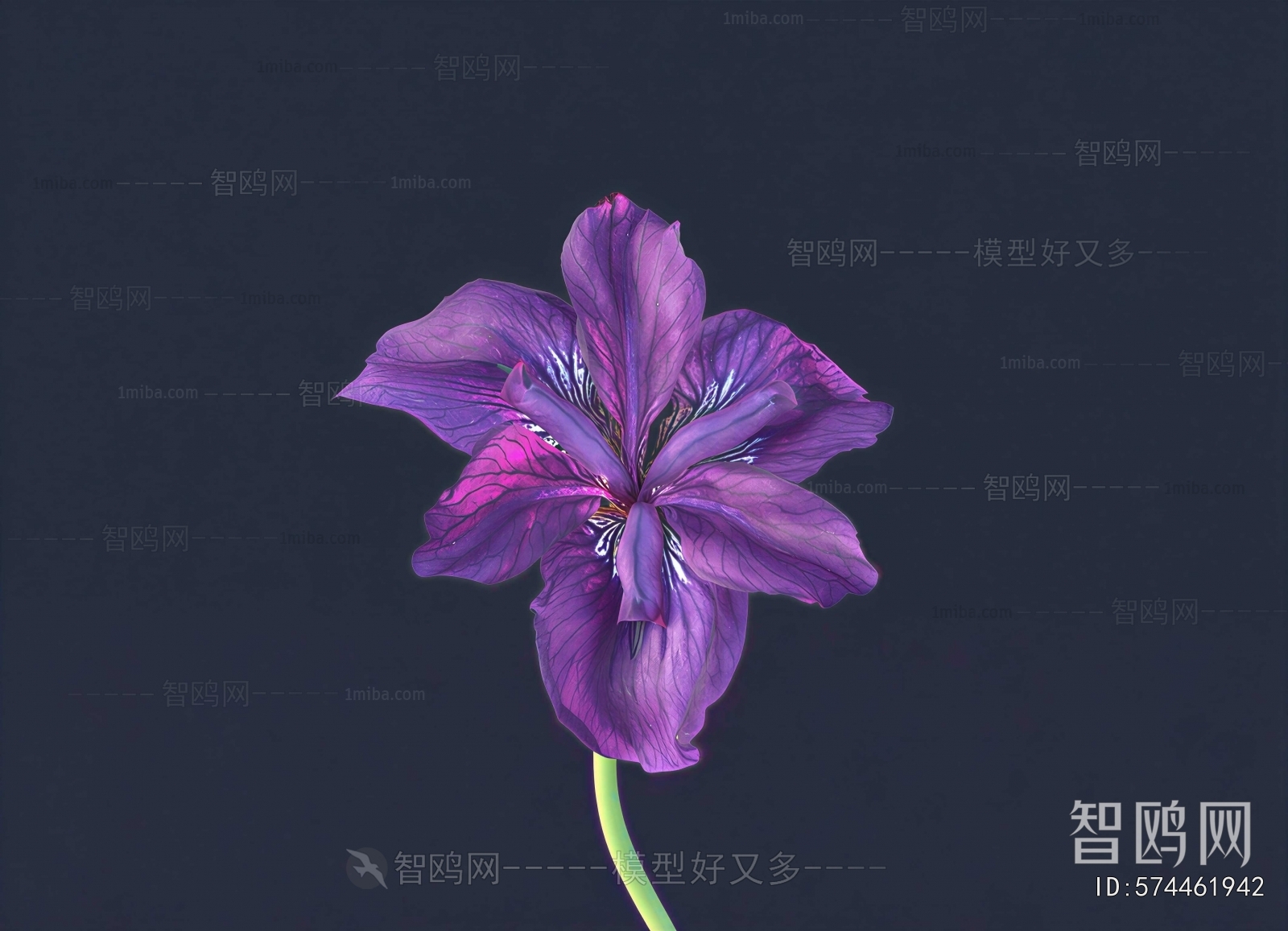 Modern Flowers